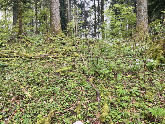 23-05-20 14-49-52 5501